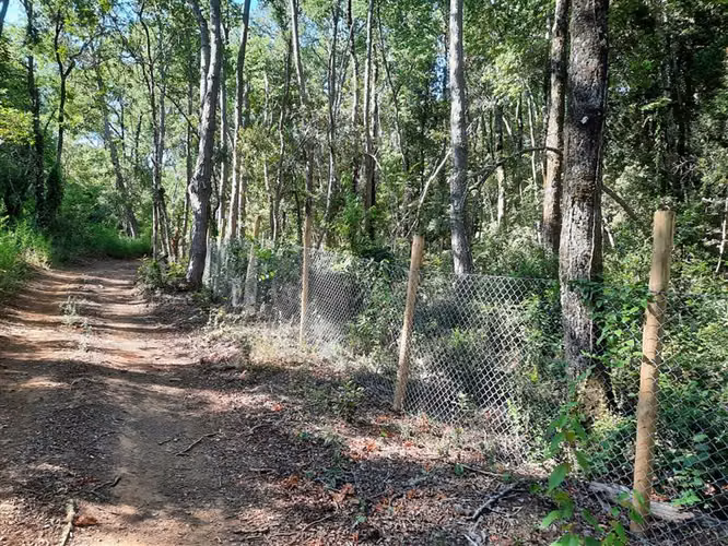 Parcela en venta en Cobquecura