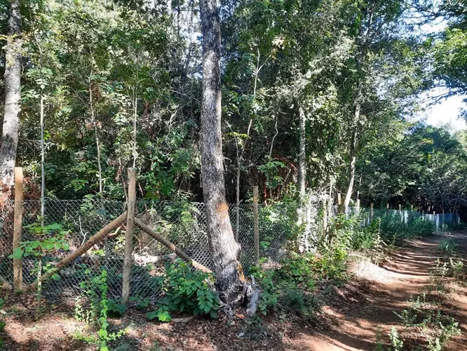 Parcela en venta en Cobquecura