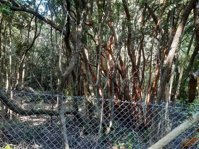 Parcela en venta en Cobquecura