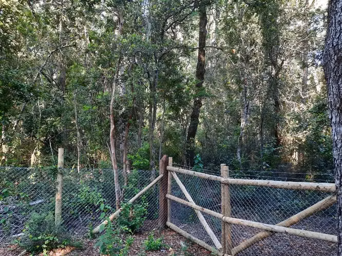 Parcela en venta en Cobquecura