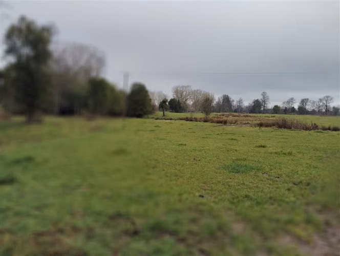 Agrícola en venta en Río Negro, Región de Los Lagos