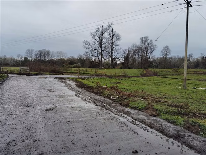 Agrícola en venta en Río Negro, Región de Los Lagos