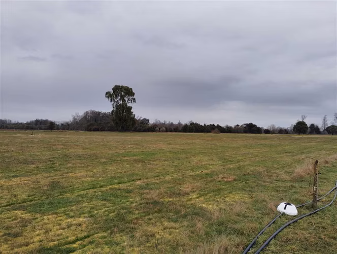 Agrícola en venta en Río Negro, Región de Los Lagos