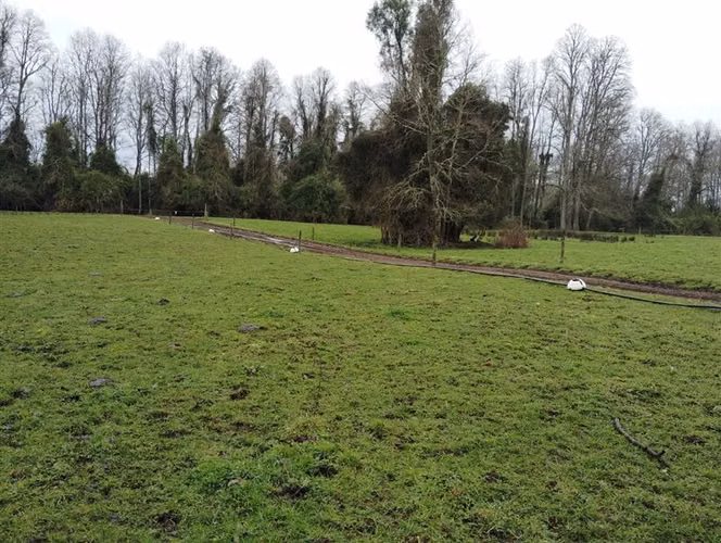 Agrícola en venta en Río Negro, Región de Los Lagos