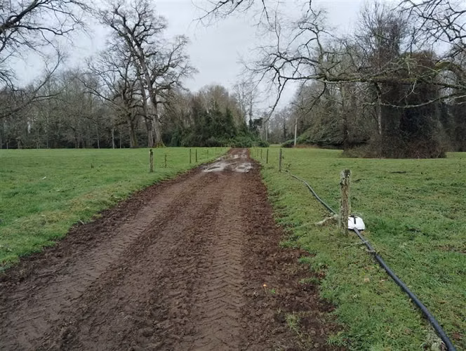 Agrícola en venta en Río Negro, Región de Los Lagos