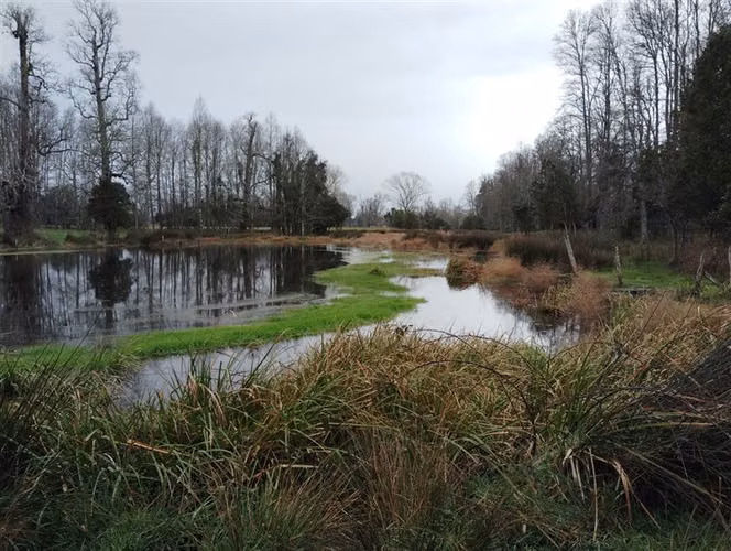 Agrícola en venta en Río Negro, Región de Los Lagos