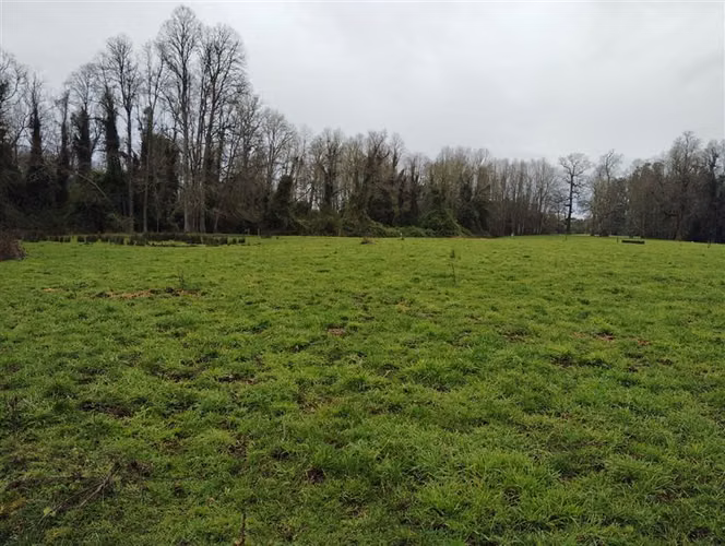 Agrícola en venta en Río Negro, Región de Los Lagos