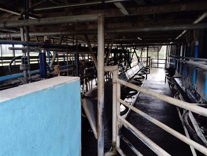 Agrícola en venta en Río Negro, Región de Los Lagos
