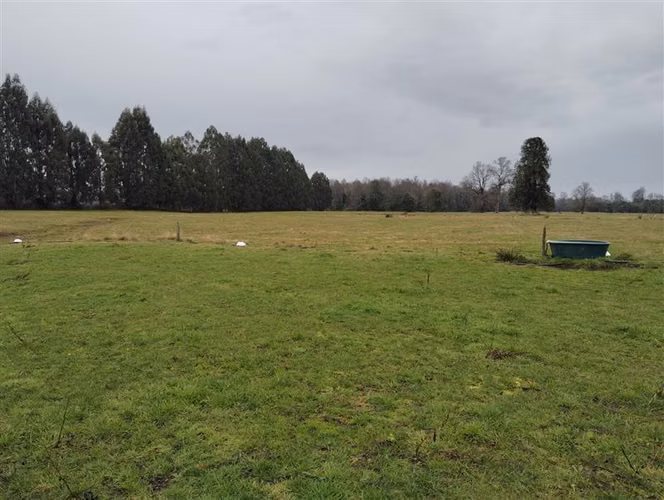 Agrícola en venta en Río Negro, Región de Los Lagos