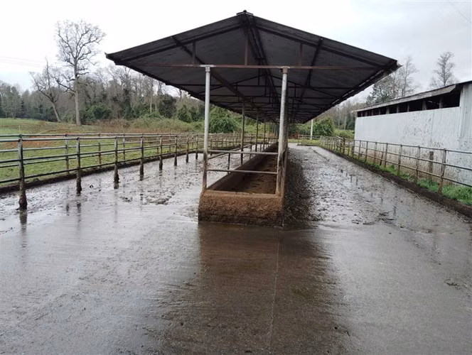 Agrícola en venta en Río Negro, Región de Los Lagos