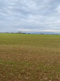 Agrícola en venta en Galvarino