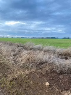 Agrícola en venta en Galvarino