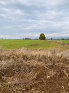 Agrícola en venta en Galvarino