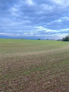 Agrícola en venta en Galvarino