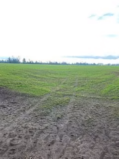 Agrícola en venta en Galvarino