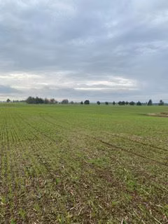 Agrícola en venta en Galvarino
