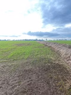 Agrícola en venta en Galvarino