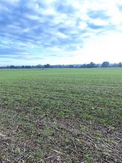 Agrícola en venta en Galvarino