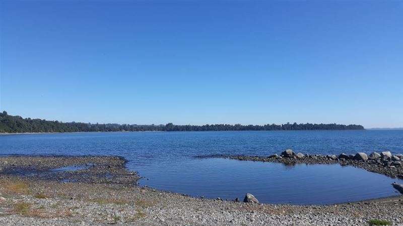 Sitio en venta en Puyehue - Imagen 4