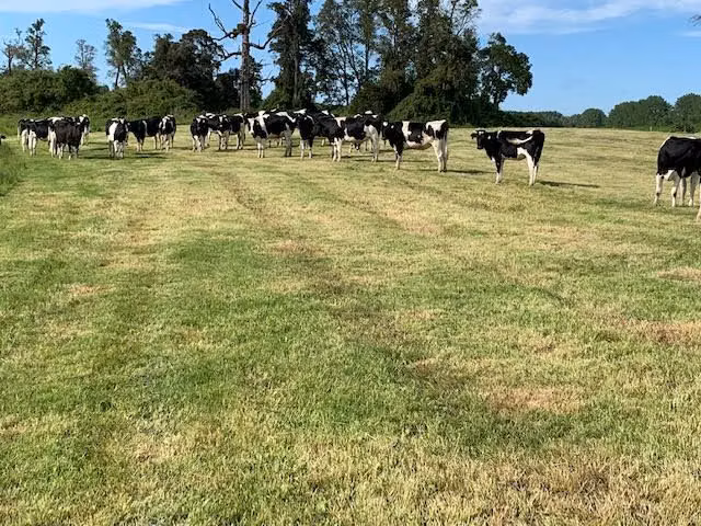 Agrícola en venta en Río Negro
