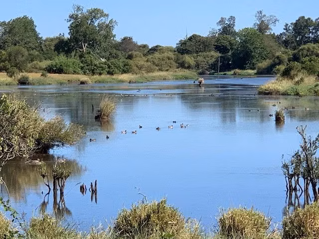 Agrícola en venta en Río Negro