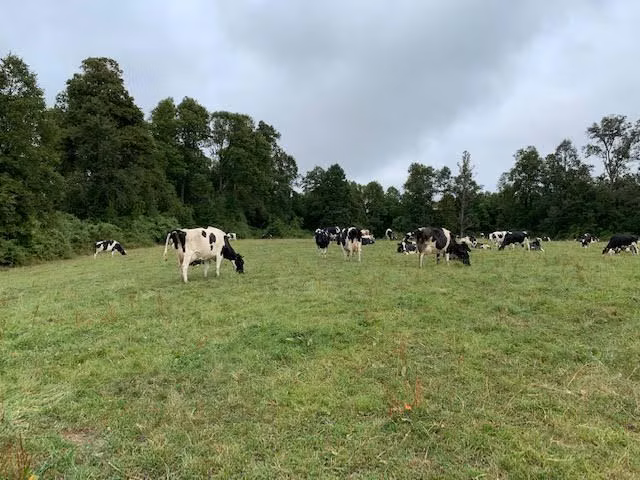 Agrícola en venta en Río Negro