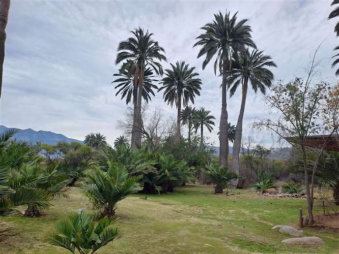 Sitio en venta en Hijuelas - Imagen 5