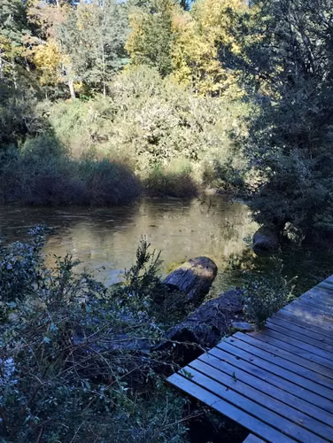 Casa en venta de 3 dorm. en Panguipulli