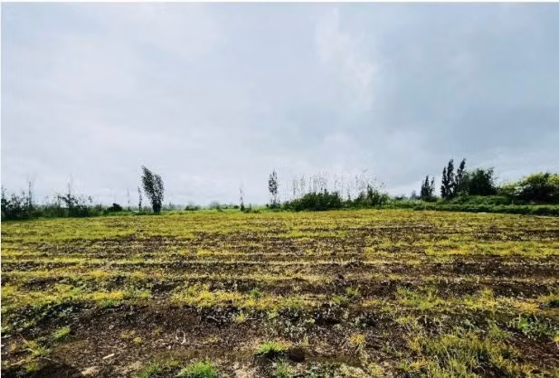 Sitio en venta en Parral