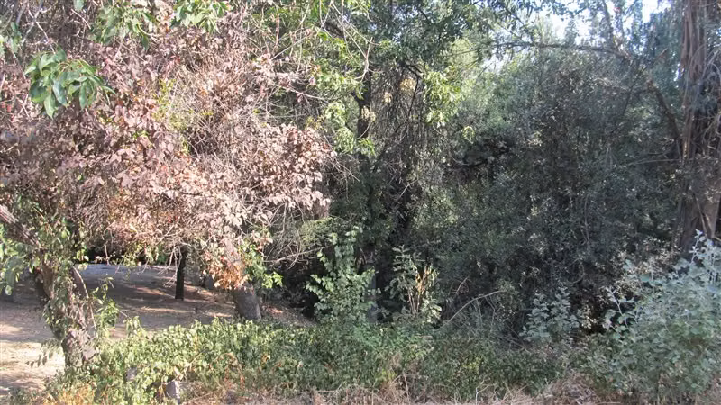 Venta Sitio en Vitacura, Santa María, Camino El Cóndor
