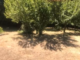 Terreno Construccion  en Venta en Osorno