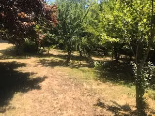 Terreno Construccion  en Venta en Osorno