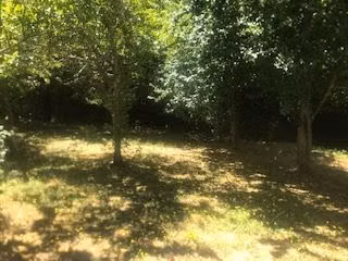 Terreno Construccion  en Venta en Osorno