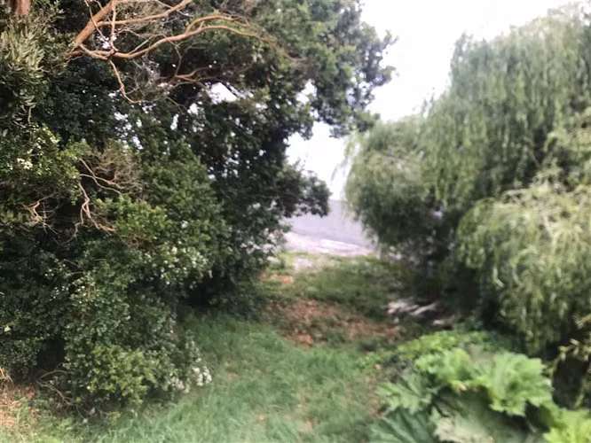 Parcela en venta en Puyehue