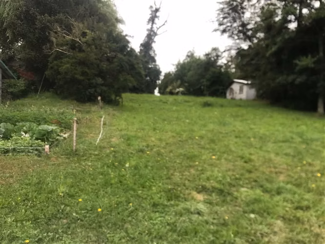 Parcela en venta en Puyehue