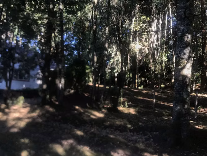Parcela en venta en Puyehue