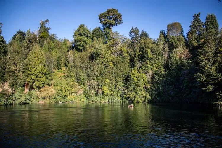 Terrenos Hornopiren, Hualaihue. Naturaleza y conservación.