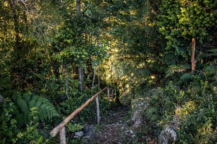 Terrenos Hornopiren, Hualaihue. Naturaleza y conservación.