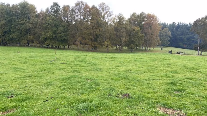Agrícola en venta en Purranque
