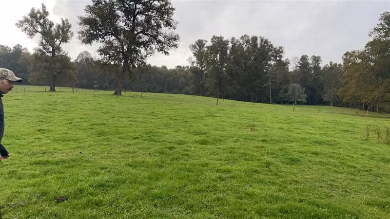 Agrícola en venta en Purranque