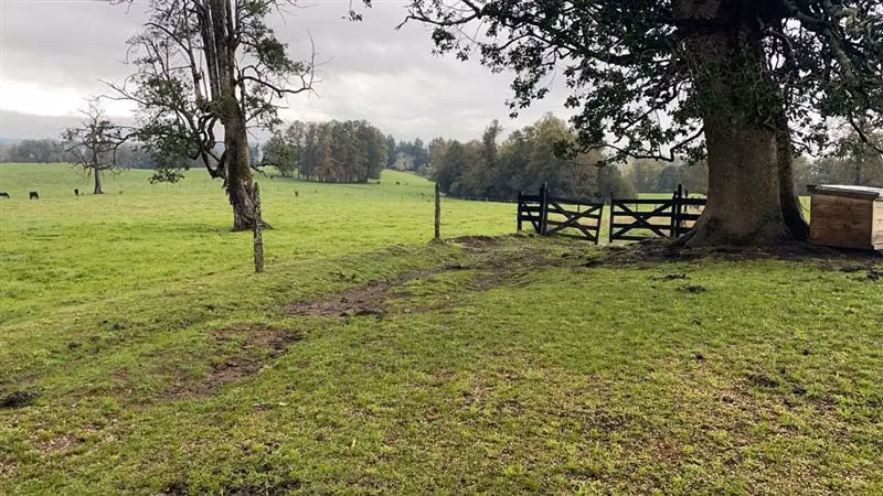Agrícola en venta en Purranque