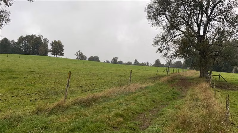 Agrícola en venta en Purranque