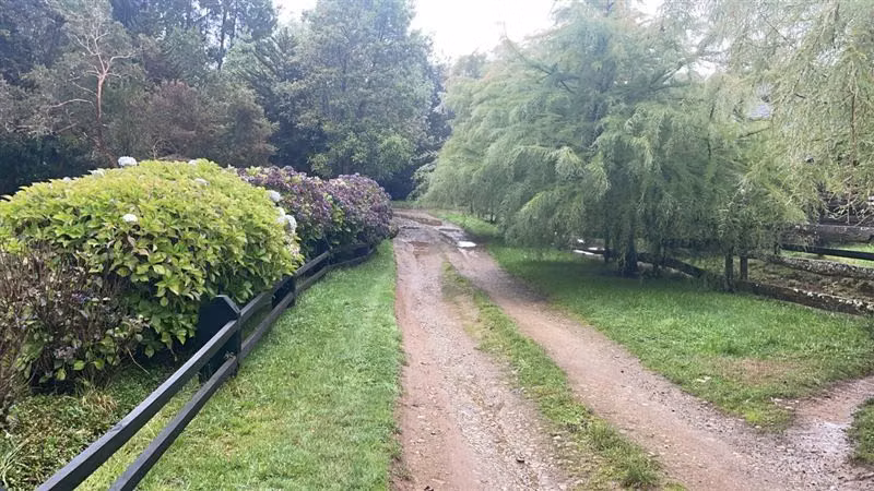 Agrícola en venta en Purranque