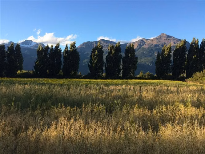 Agrícola en venta en Chile Chico - Imagen 10