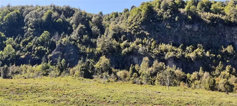 Agrícola en venta en Curacautín