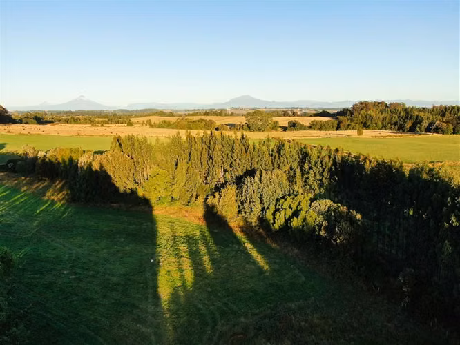 Parcela en venta en Llanquihue
