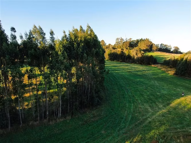 Parcela en venta en Llanquihue