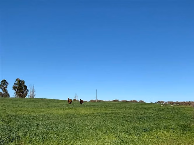 Agrícola en venta en Parral