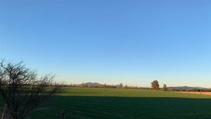 Agrícola en venta en Parral
