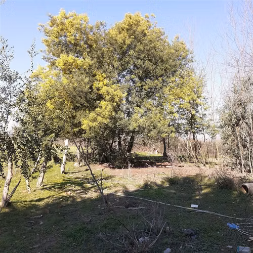 Parcela en venta en Ñiquén